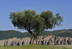 Qualité & Environnement